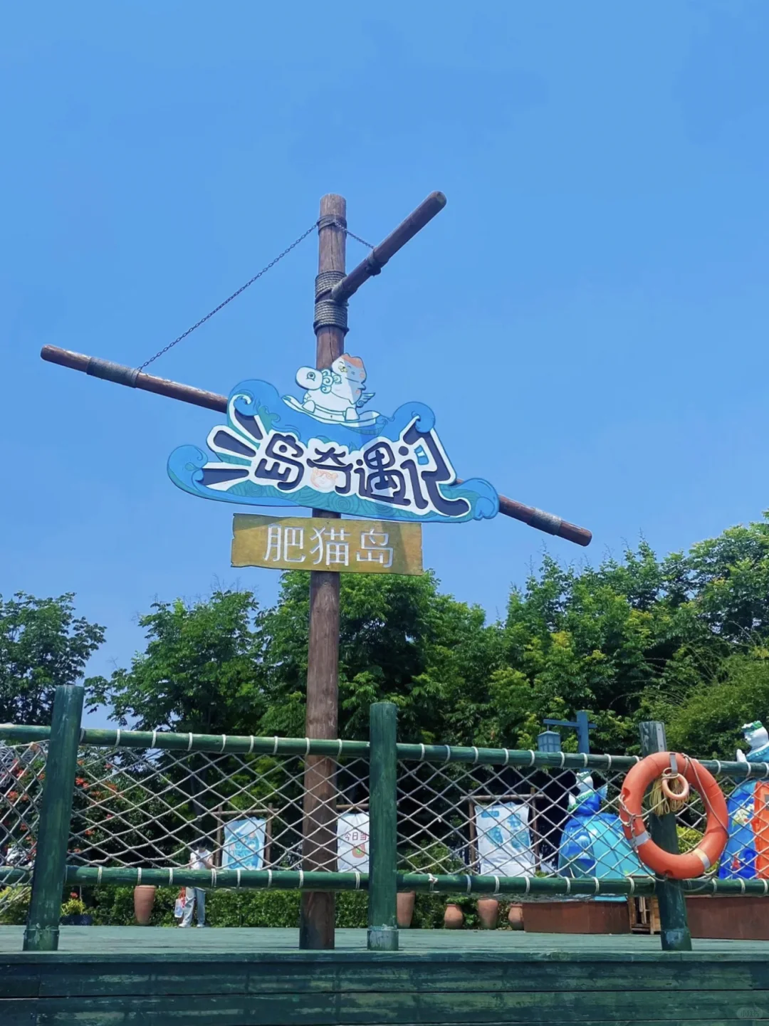 🐾淮安·猫咪天堂，治愈系岛屿🏝️