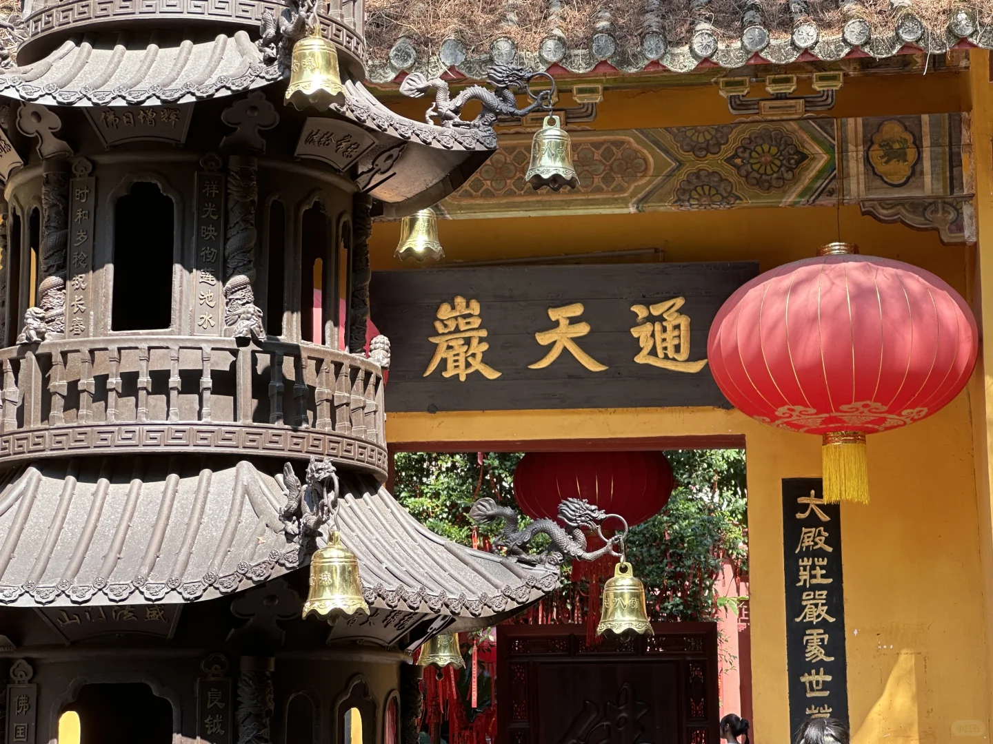 误入莫奈花园且🐕宠物友好景点