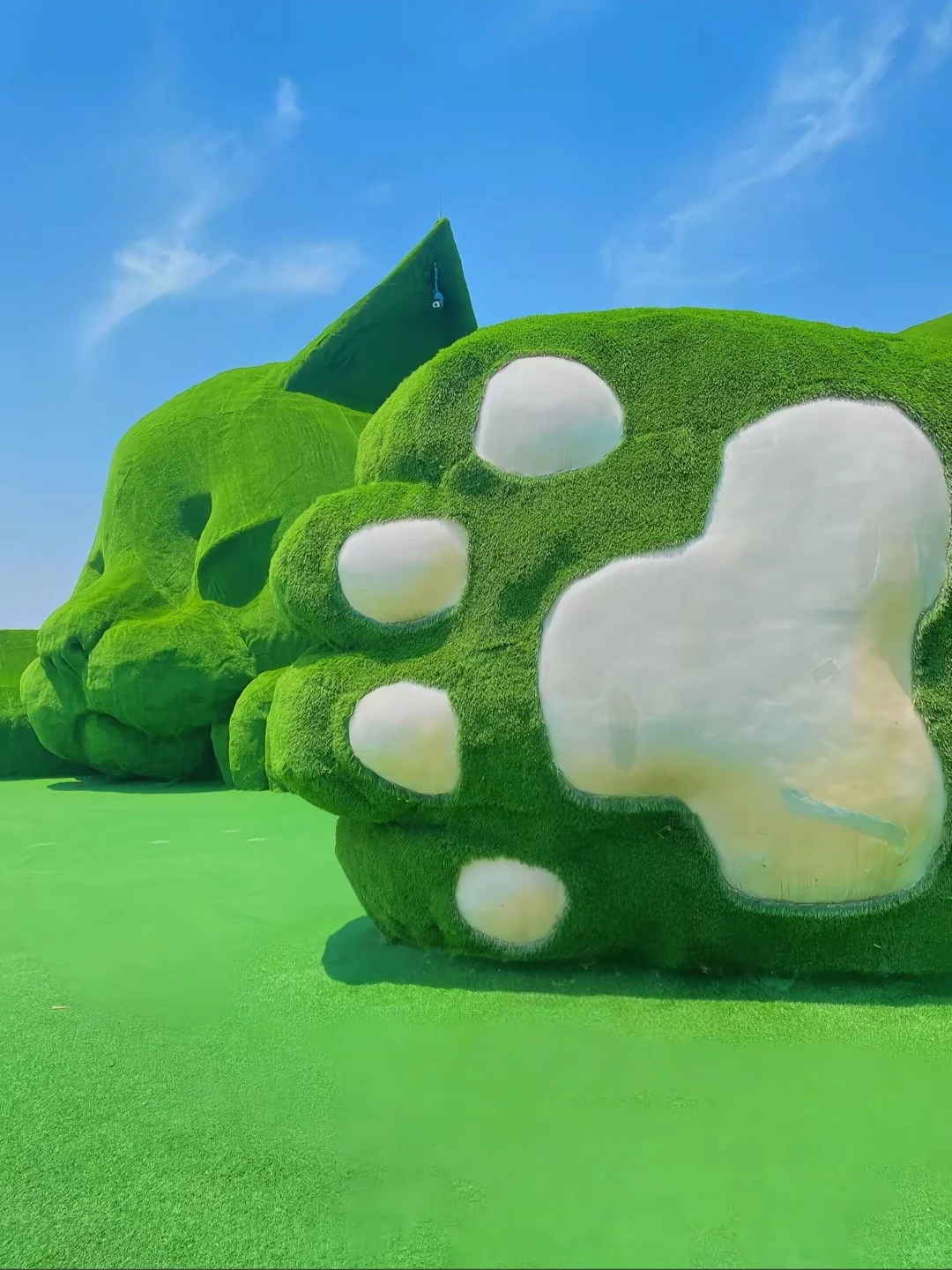 🐾淮安·猫咪天堂，治愈系岛屿🏝️