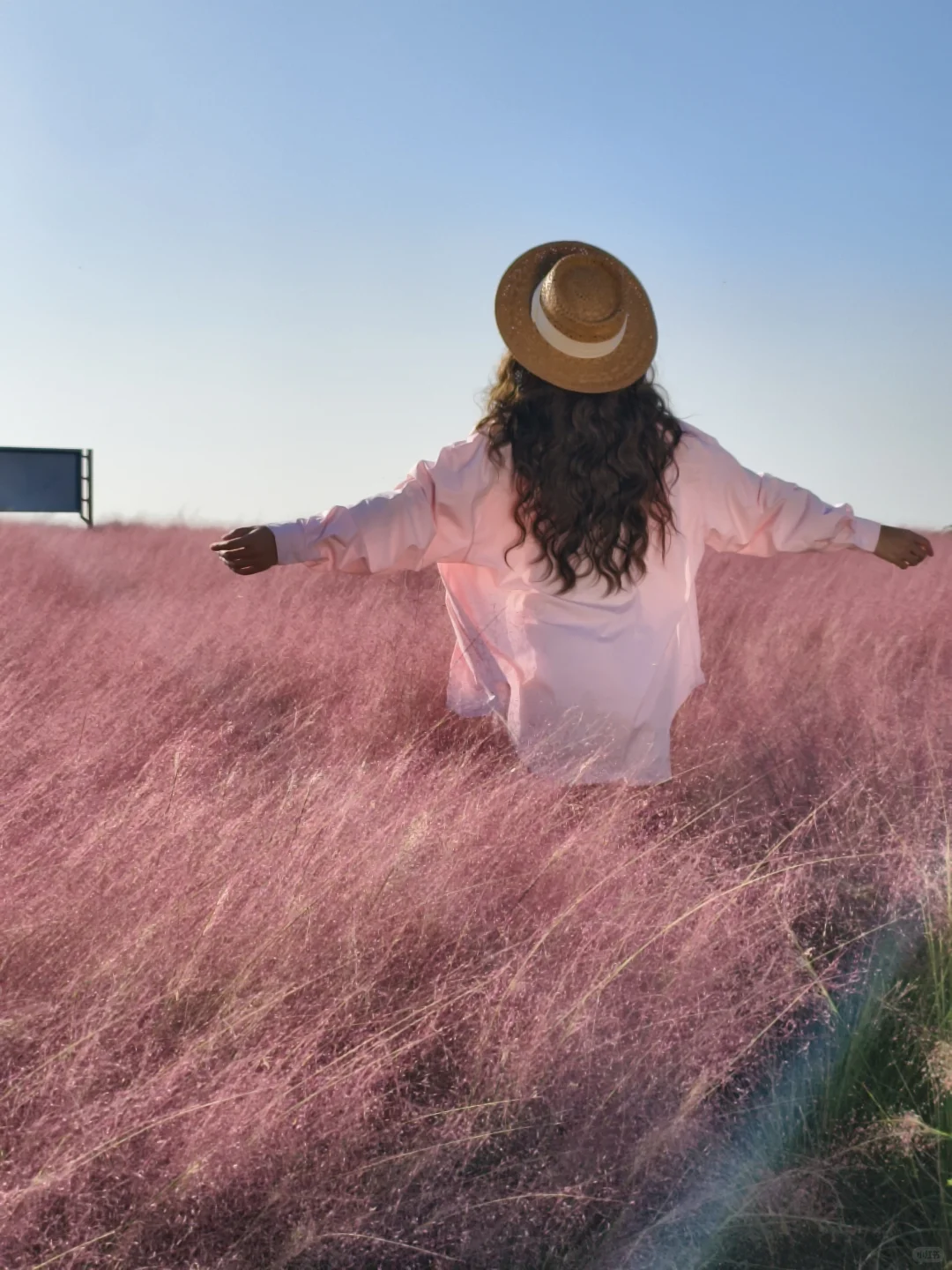 10.11live无锡水韵广场一半湖水一半粉黛