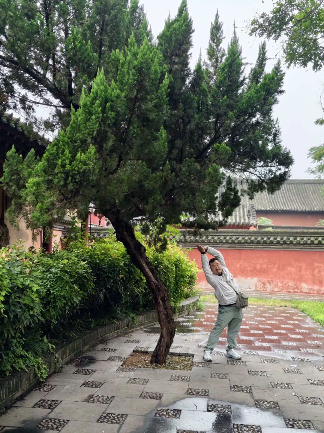 济水之美永存，济渎庙