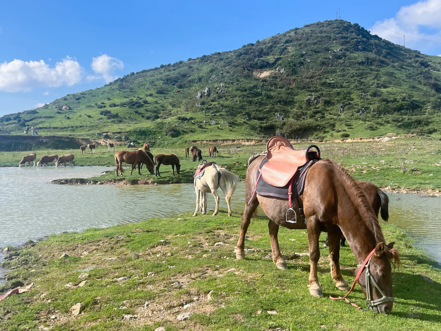 泸州北滨公园太大了吧