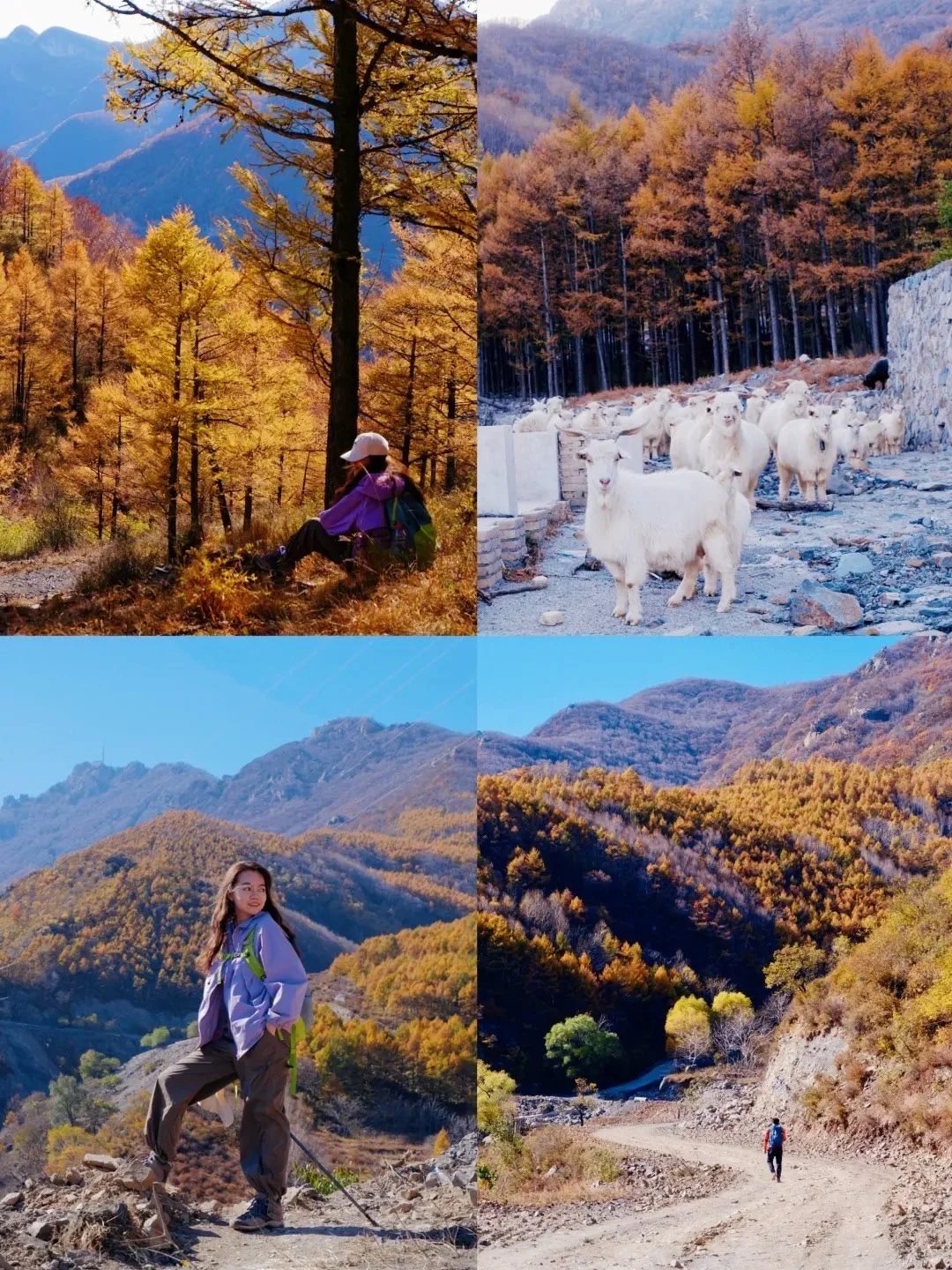 国庆反向自驾游，北京🚗1h7️⃣个小众景点合集