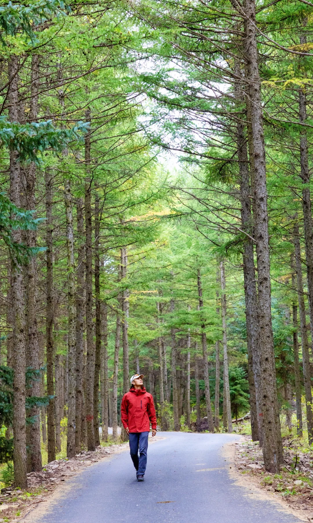 北京3h🚗 闯进了秋天的油画世界！
