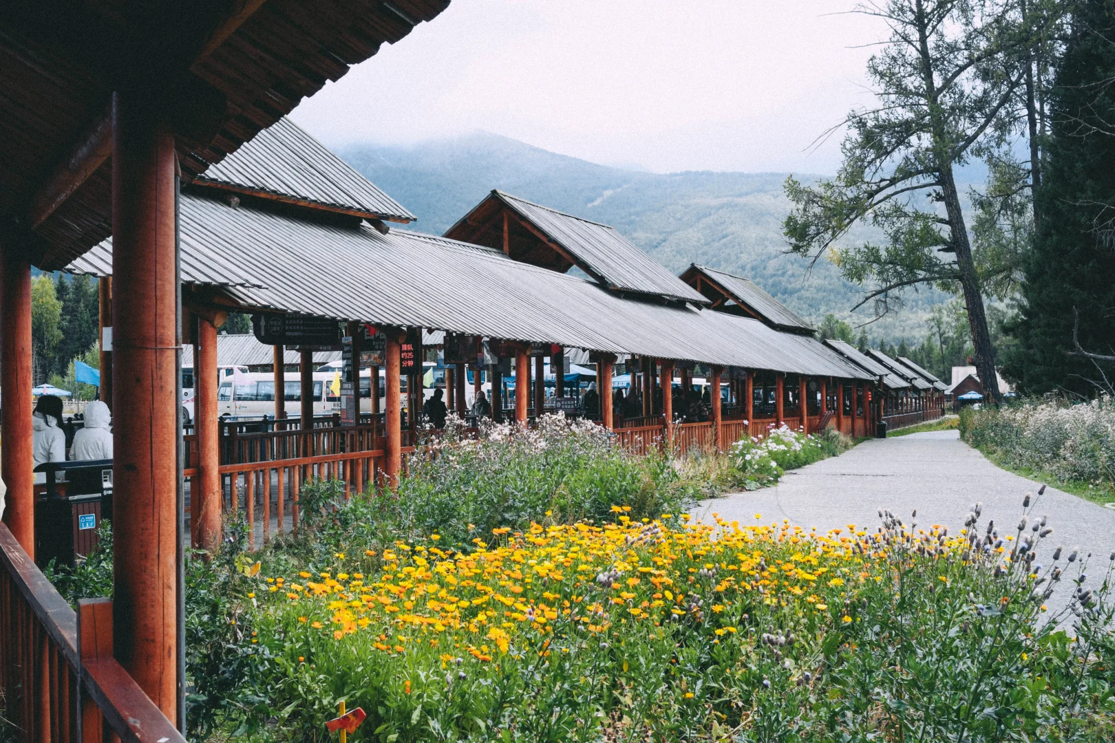 有草原的地方都好可爱呀！