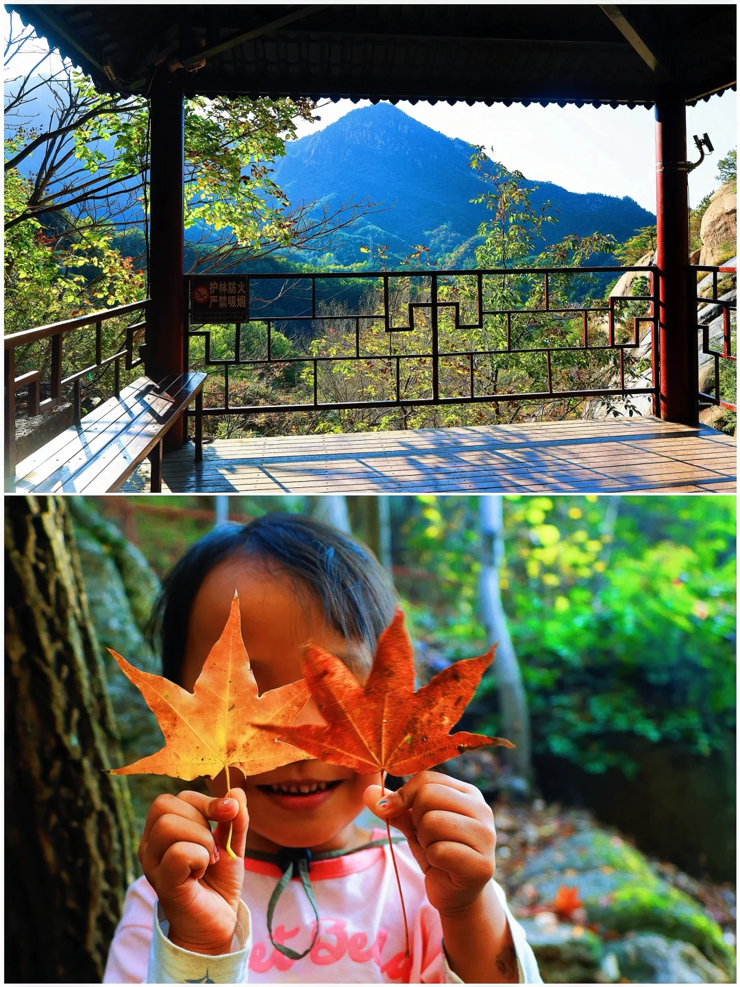🚗京津周边|山里已层林尽染，人少景美绝绝子