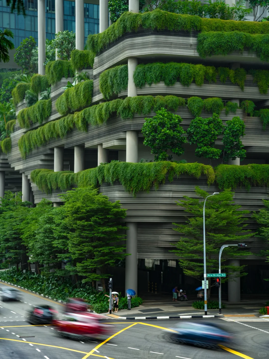 人生建议：去完这1️⃣2️⃣个地方再离开新加坡❗