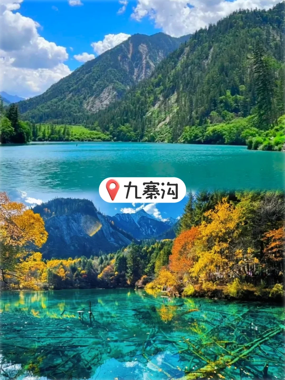 四川6天5晚正确打开方式🌸人均 600+✅