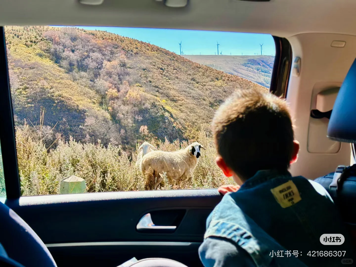 天津周边游|牛马们十一反向出行就选这条路!