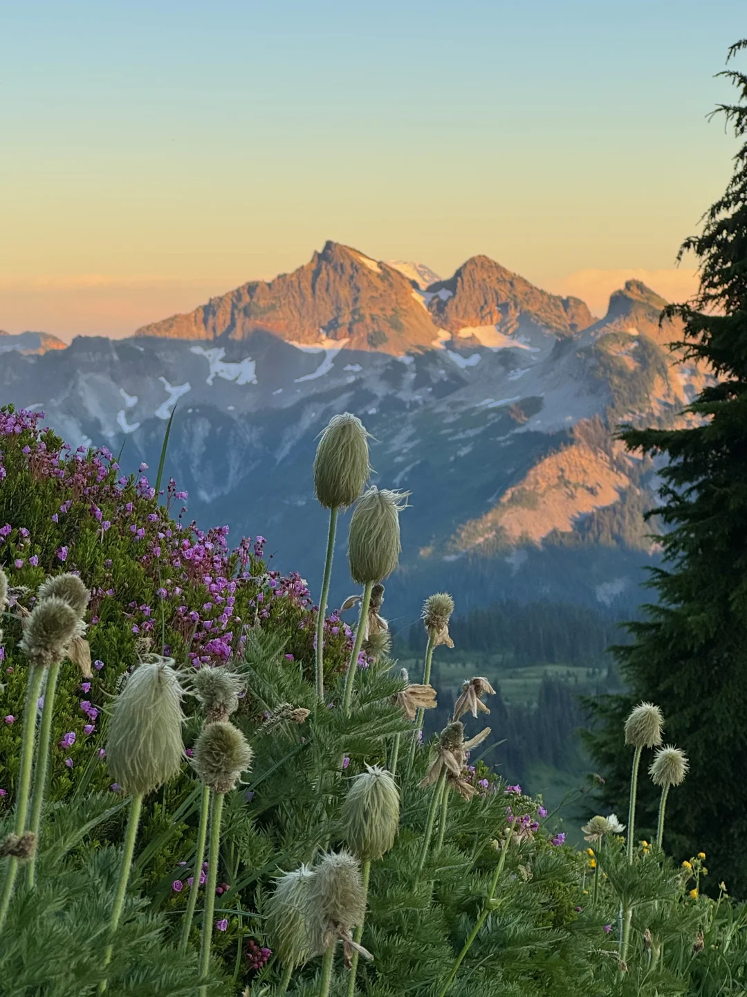 Rainier雷尼尔周末不排队