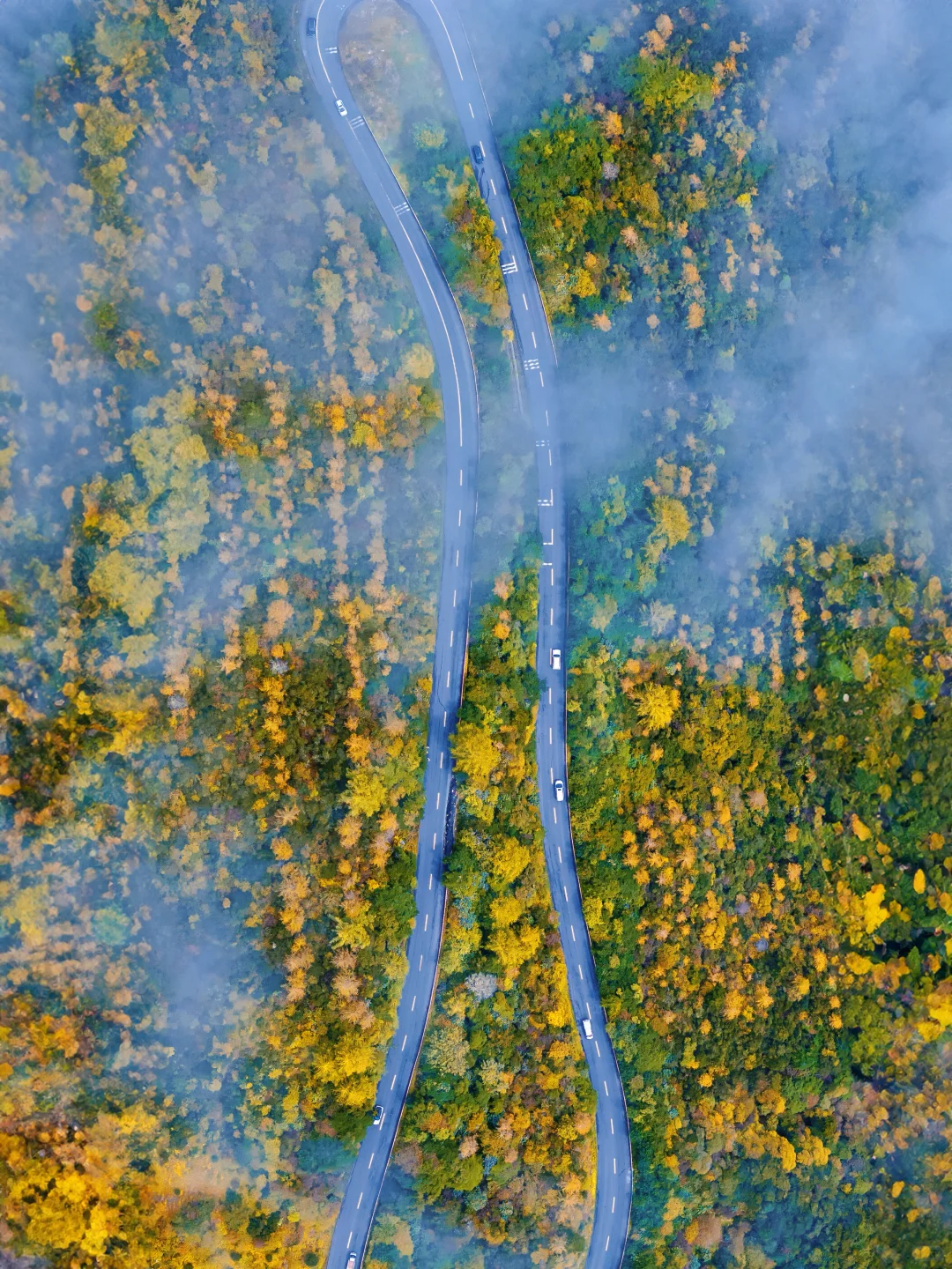 接下来的四姑娘山，是封神级别的秋景🍂