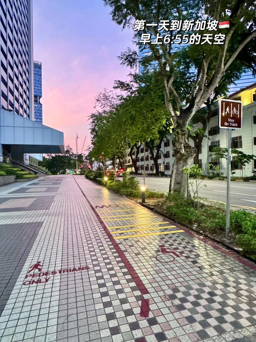 新加坡🇸🇬 女生独自出国旅行攻略 （上）
