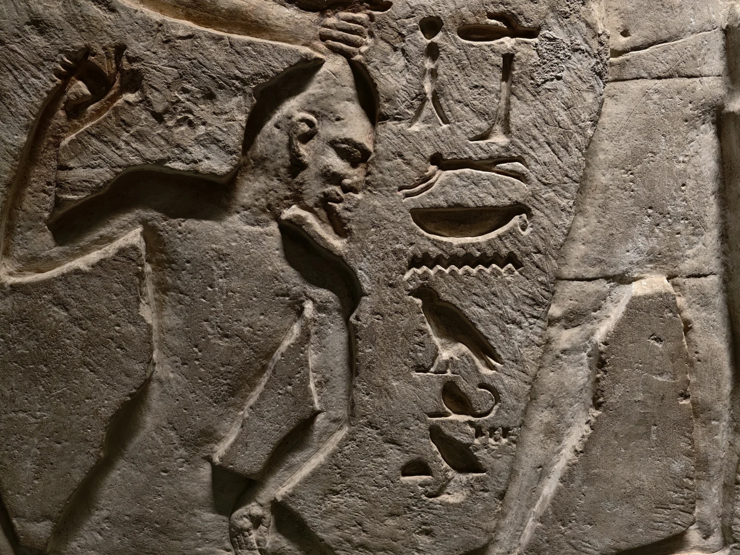 埃及初印象，脏乱差，特种兵