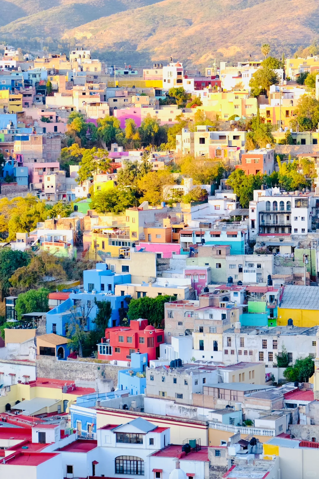 📸2021-2022最喜欢的18张图存档