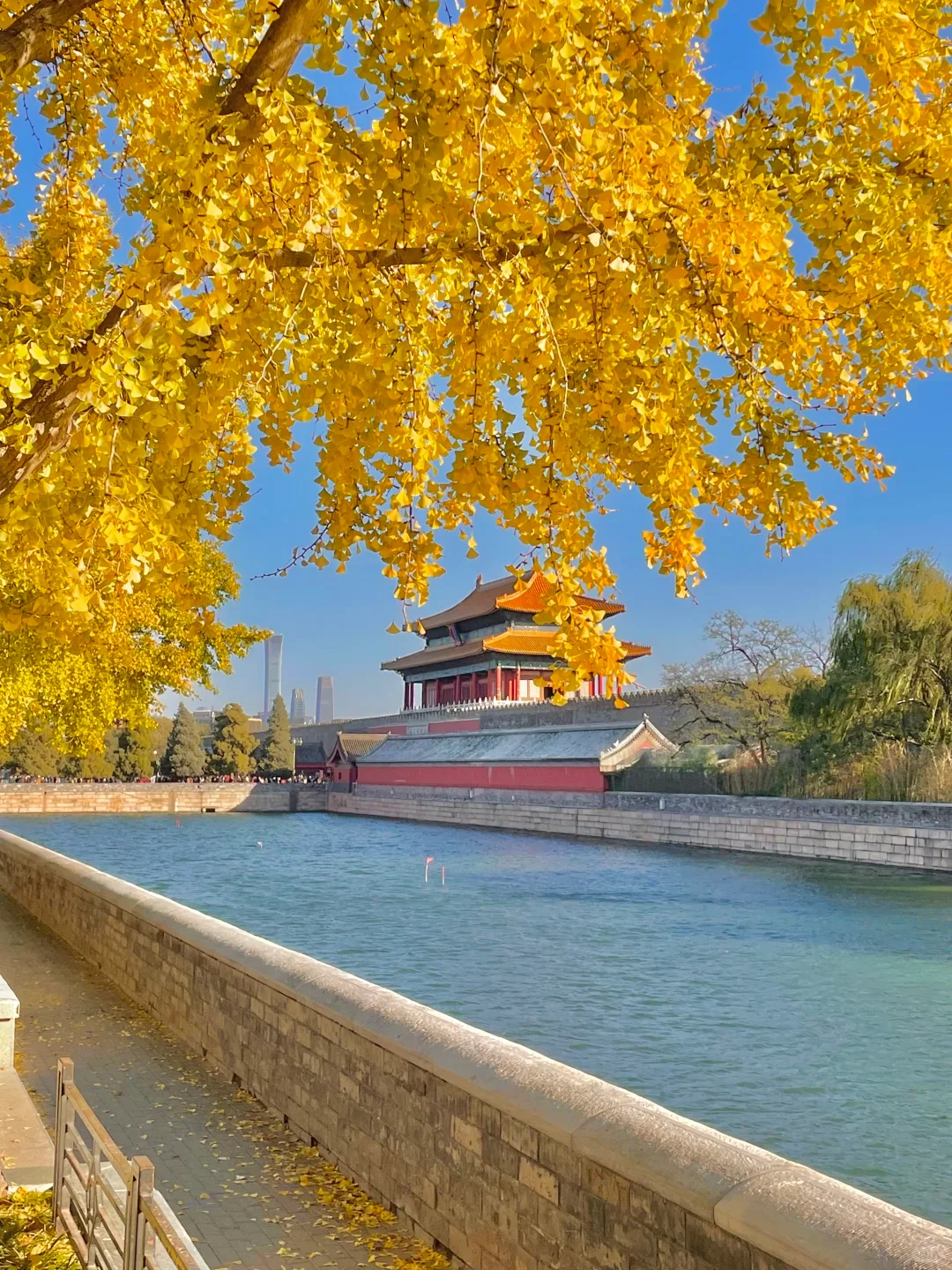 北京现状,10月要去的姐妹尽快改行程...