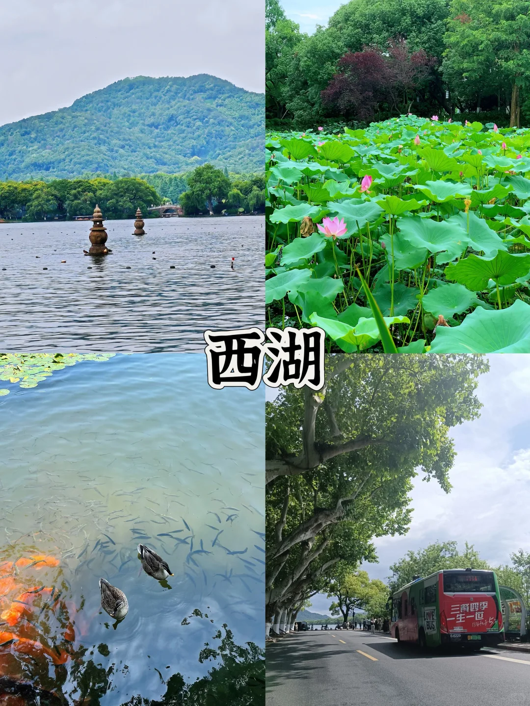 杭州必玩九大景点‼️（本地人亲测不踩雷）