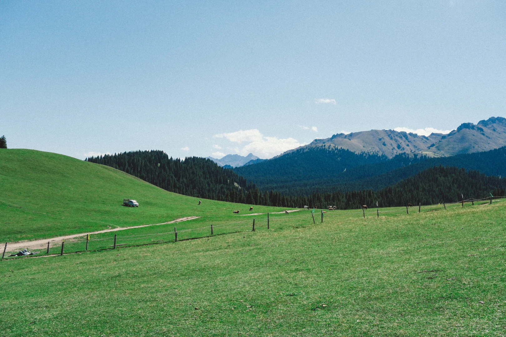 有草原的地方都好可爱呀！