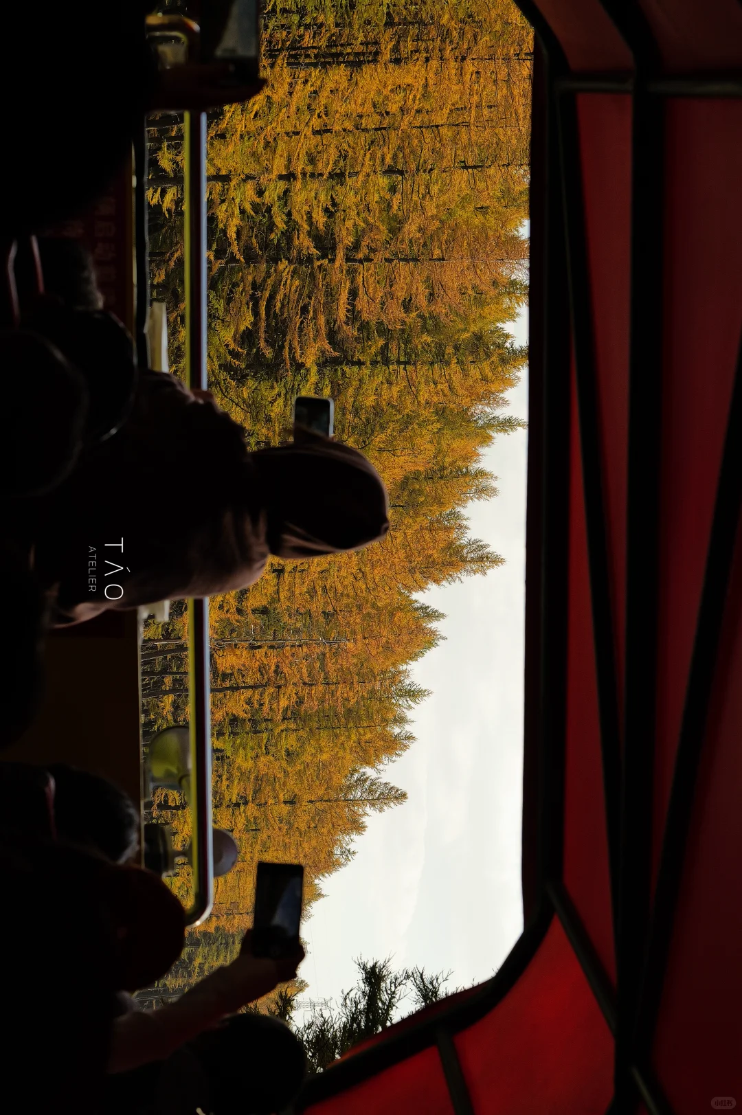 🍁崇礼六大赏秋秘境｜闯入金色童话世界