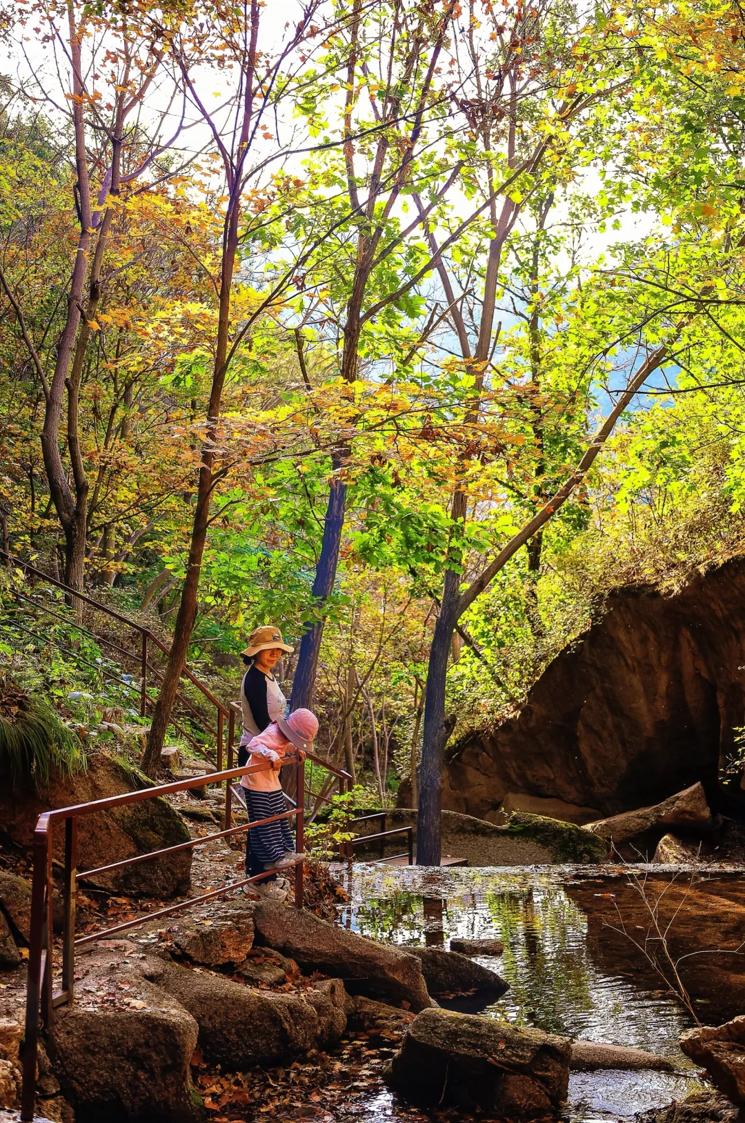 🚗京津周边|山里已层林尽染，人少景美绝绝子