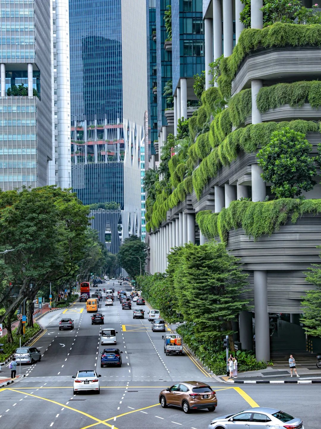 谁懂啊!被J人朋友做的新加坡攻略震撼到啦!!