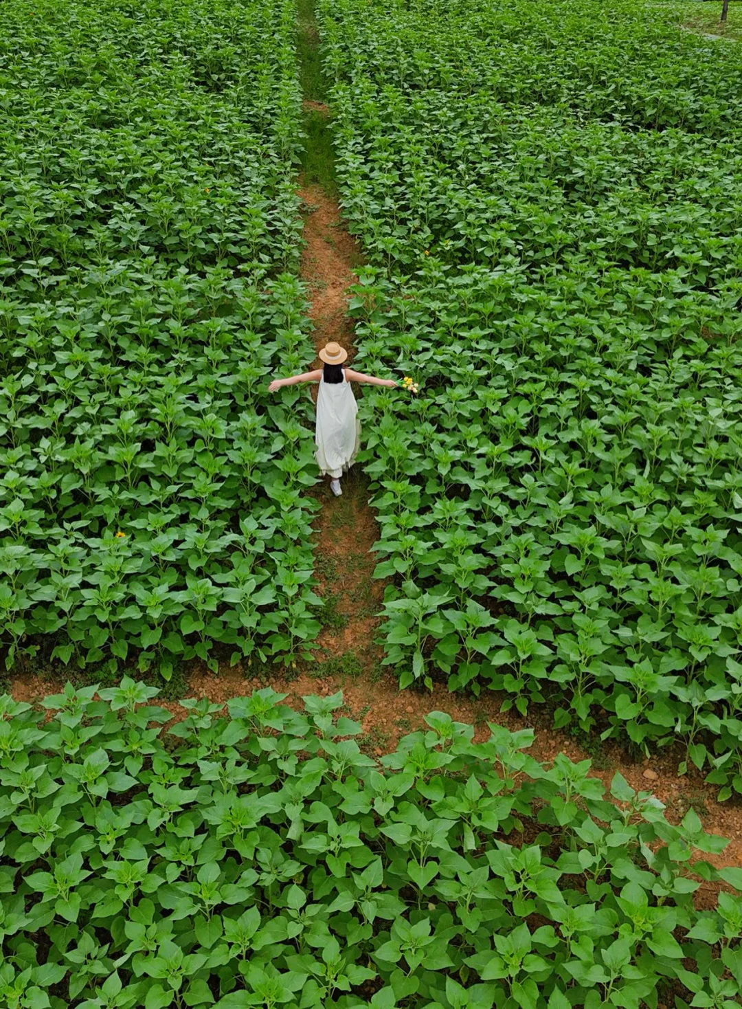 江浙沪。最具仙侠气息的古镇出现了