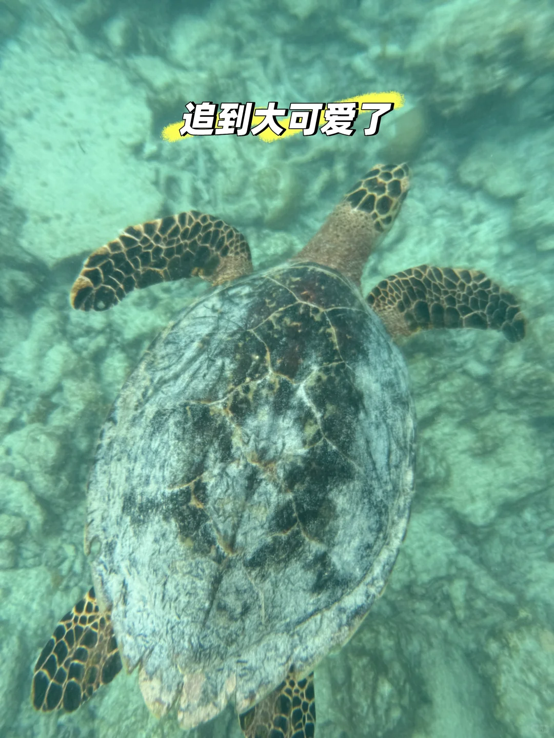 对不起妈妈，瞒着你，我花了3k玩了马尔代夫