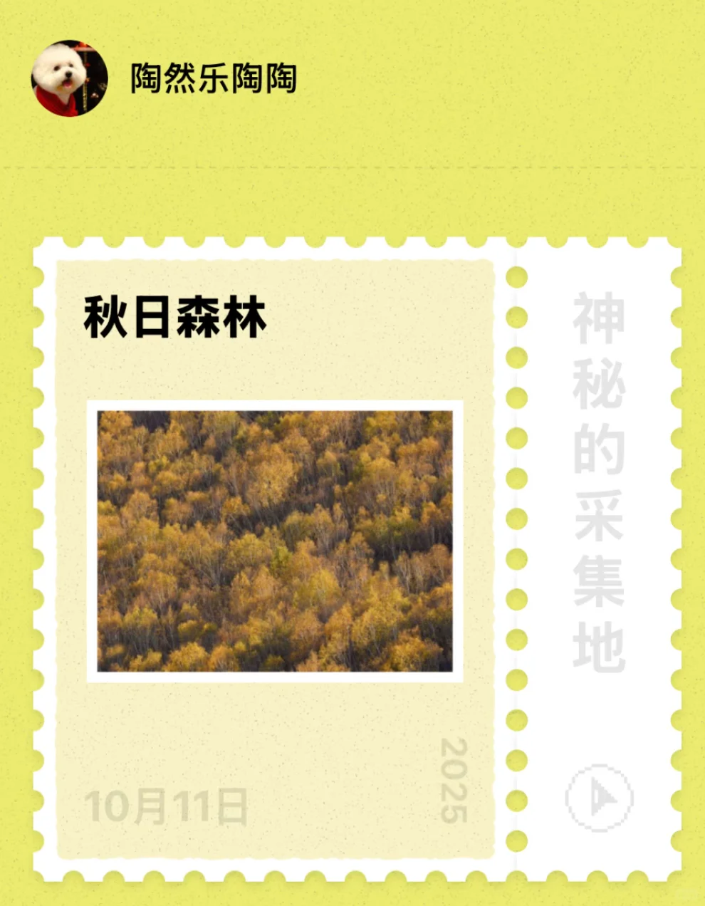 🍁崇礼六大赏秋秘境｜闯入金色童话世界