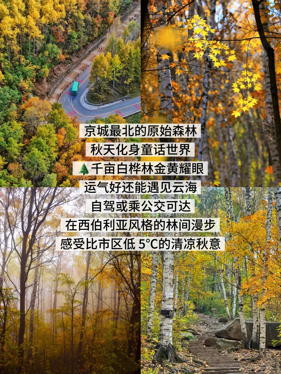 北京秋日小众打卡地🍂郊区篇攻略版