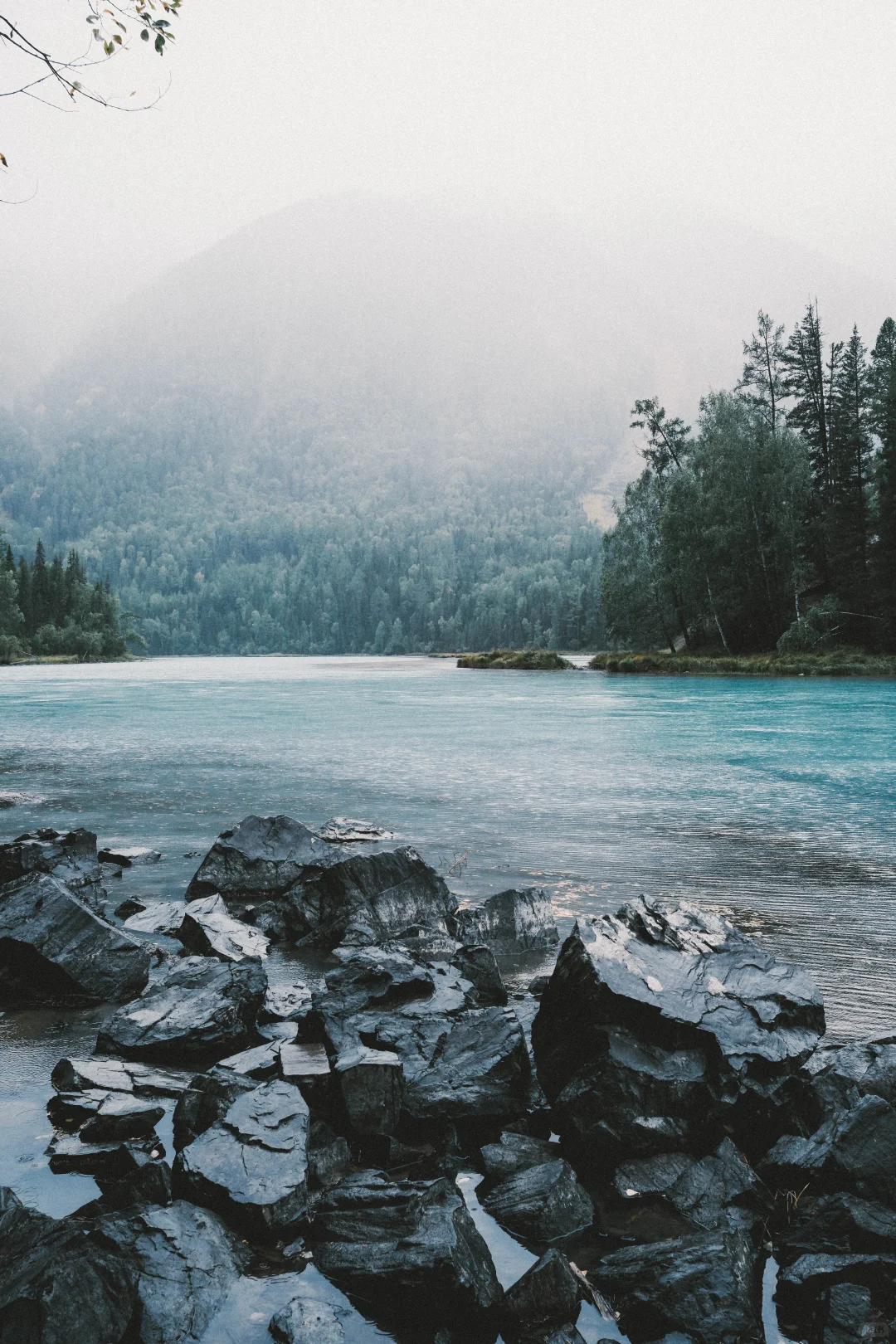 有草原的地方都好可爱呀！