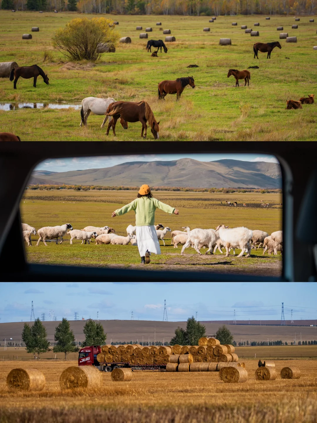 🍂你的内蒙追秋旅行攻略已准备好📚请查收！