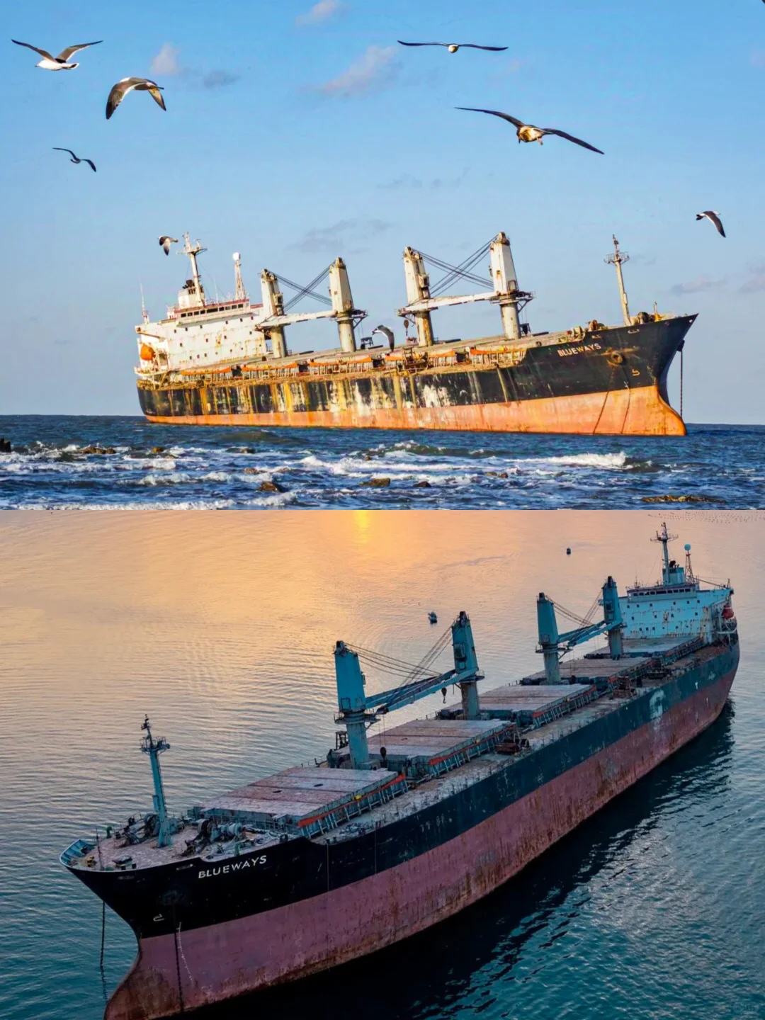 威海刚回，已自闭……