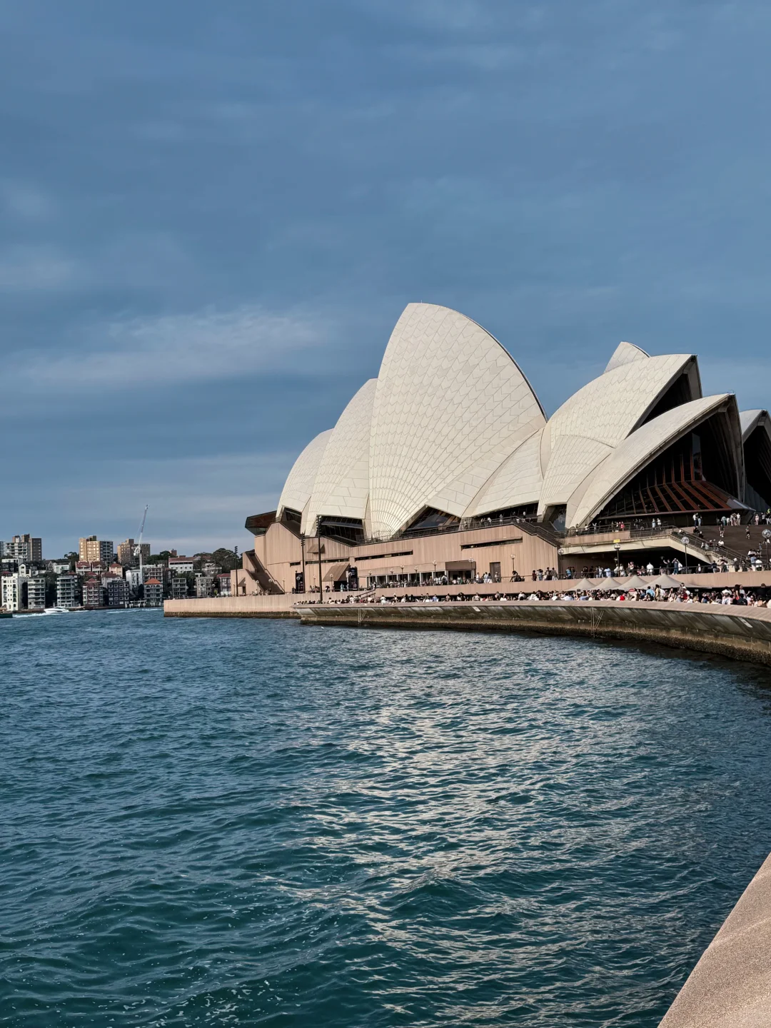 国庆大军第一批已抵达南半球🇦🇺感受春天💐