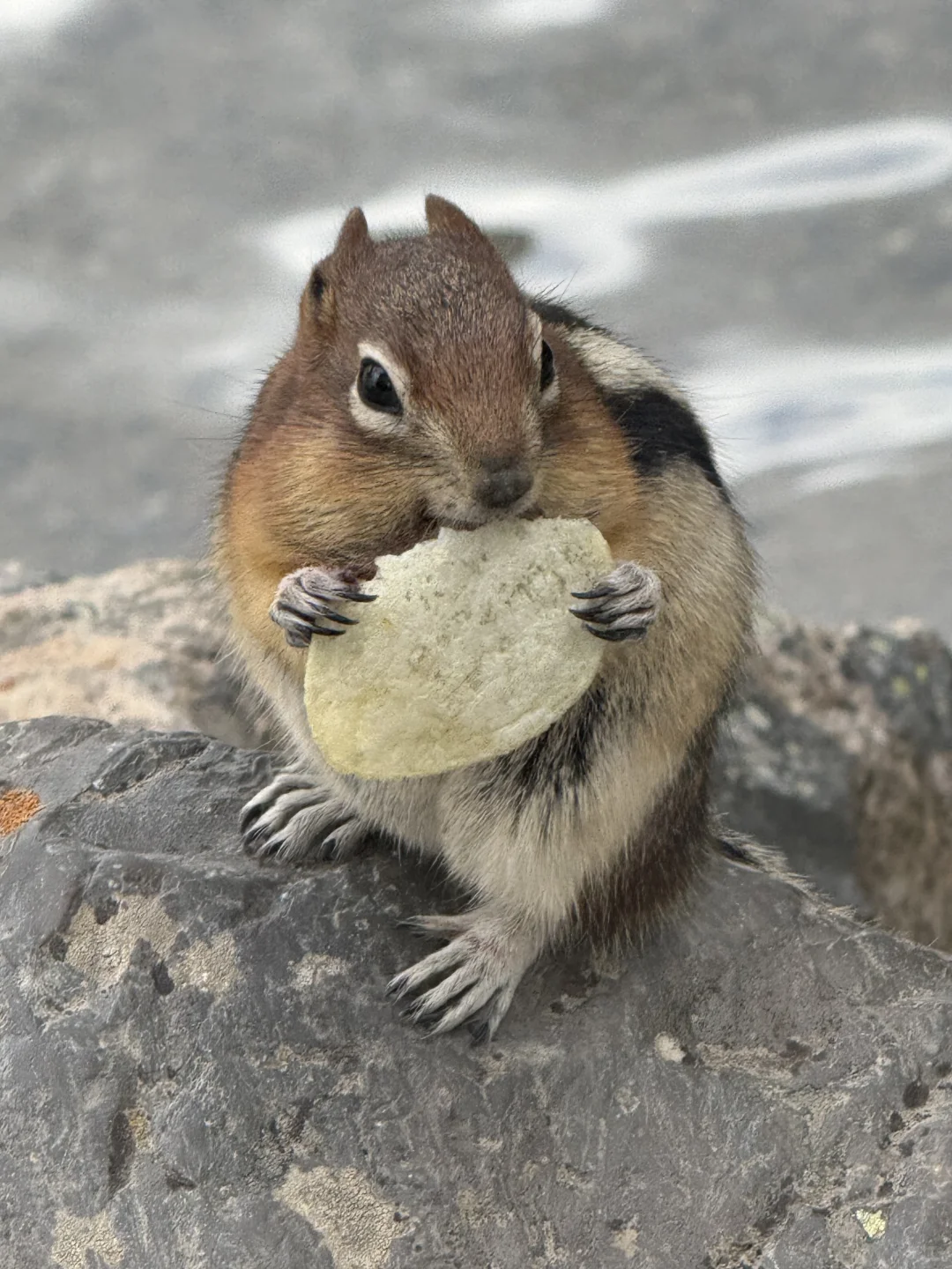 加拿大🇨🇦banff | 五天四晚旅游攻略