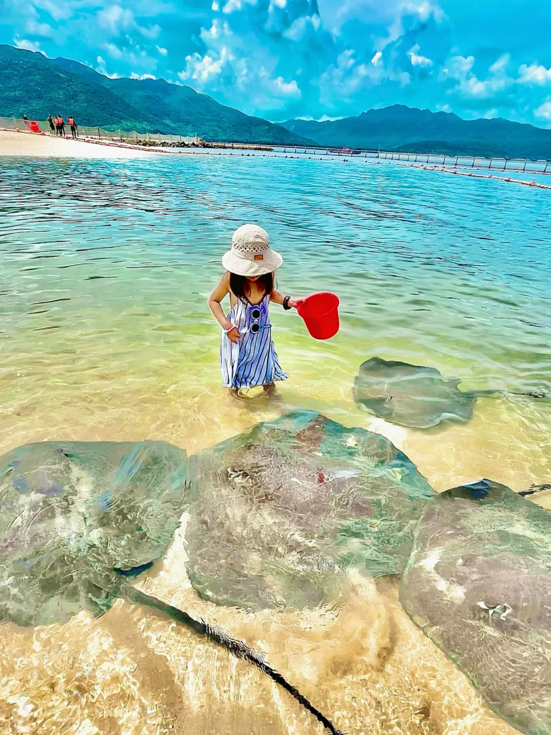 带娃三刷陵水，一点都不累！比迪士尼还好玩❗️