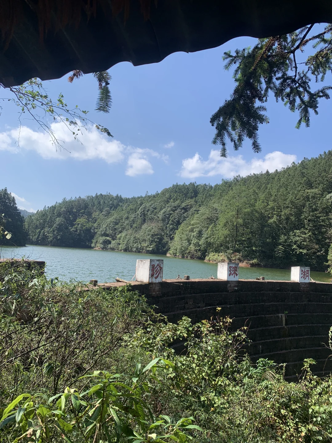 重庆5A景区四面山旅游避坑攻略