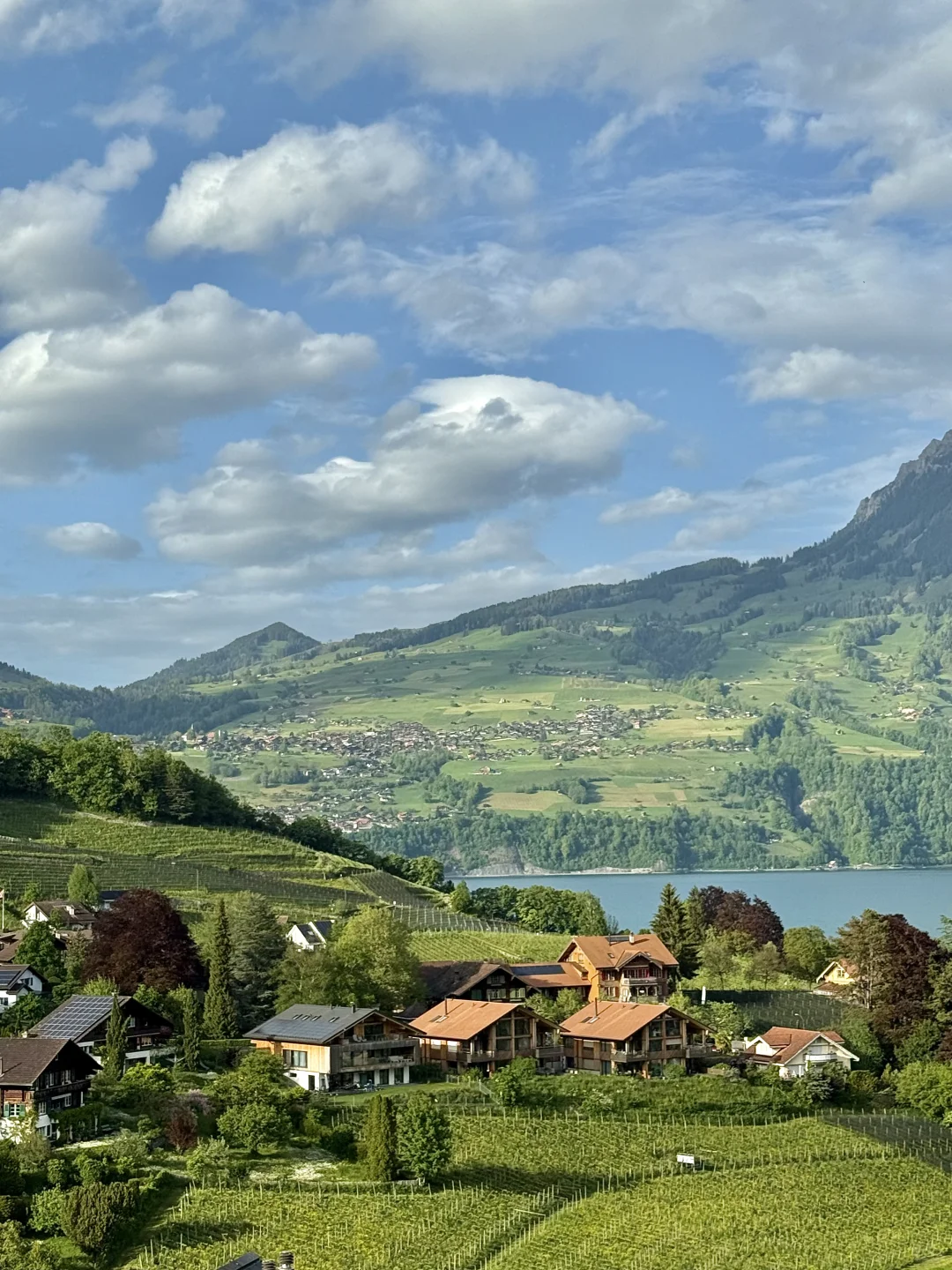 瑞士｜🇨🇭我也来感受油画世界里的生活了