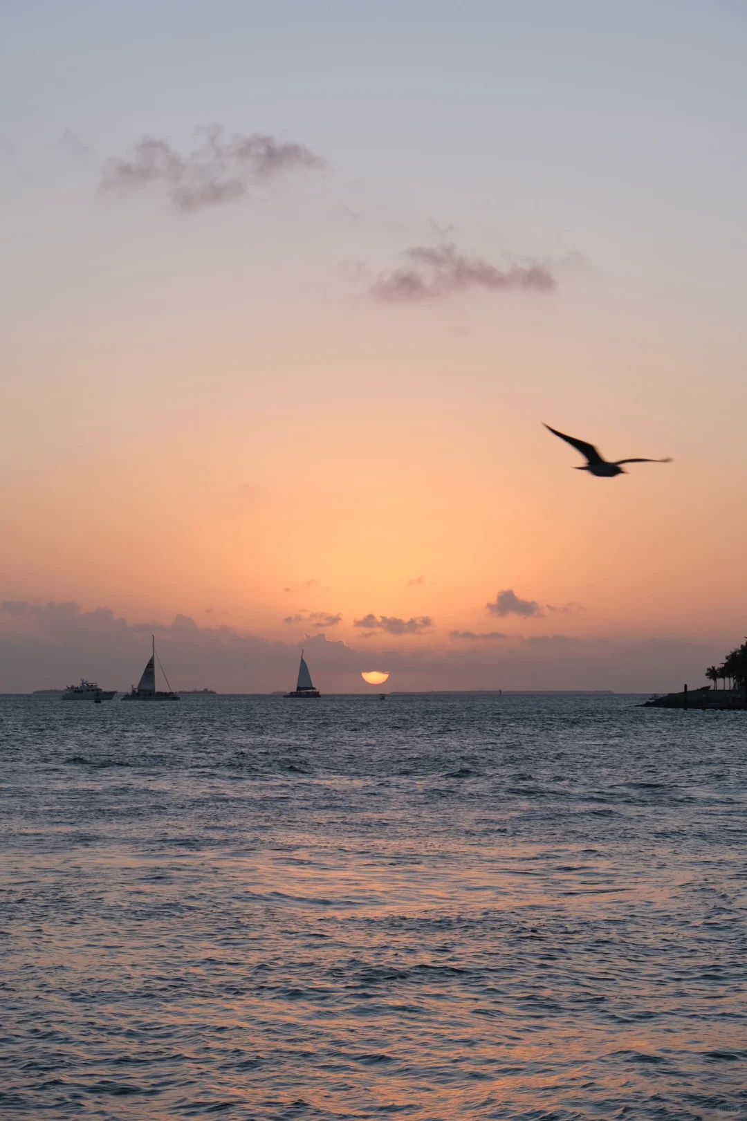 📸2021-2022最喜欢的18张图存档