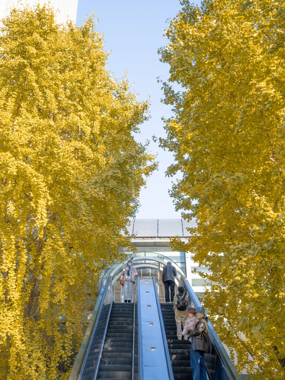 接下来，杭州堪称国内旅行的天花板‼️