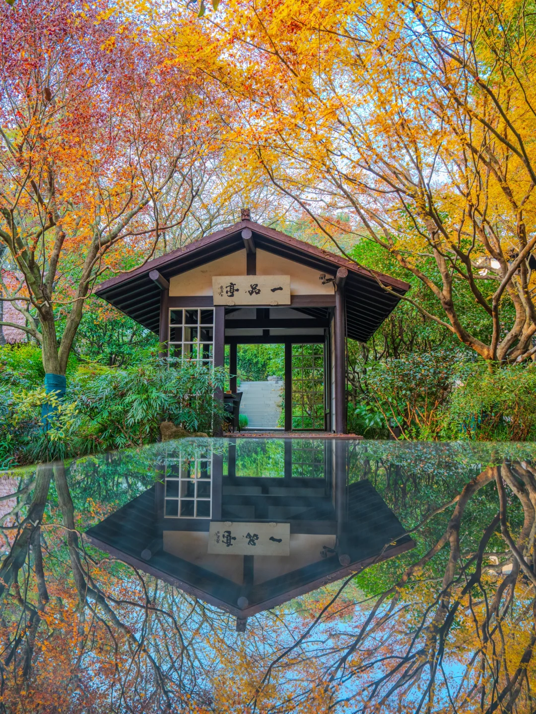 接下来，杭州堪称国内旅行的天花板‼️