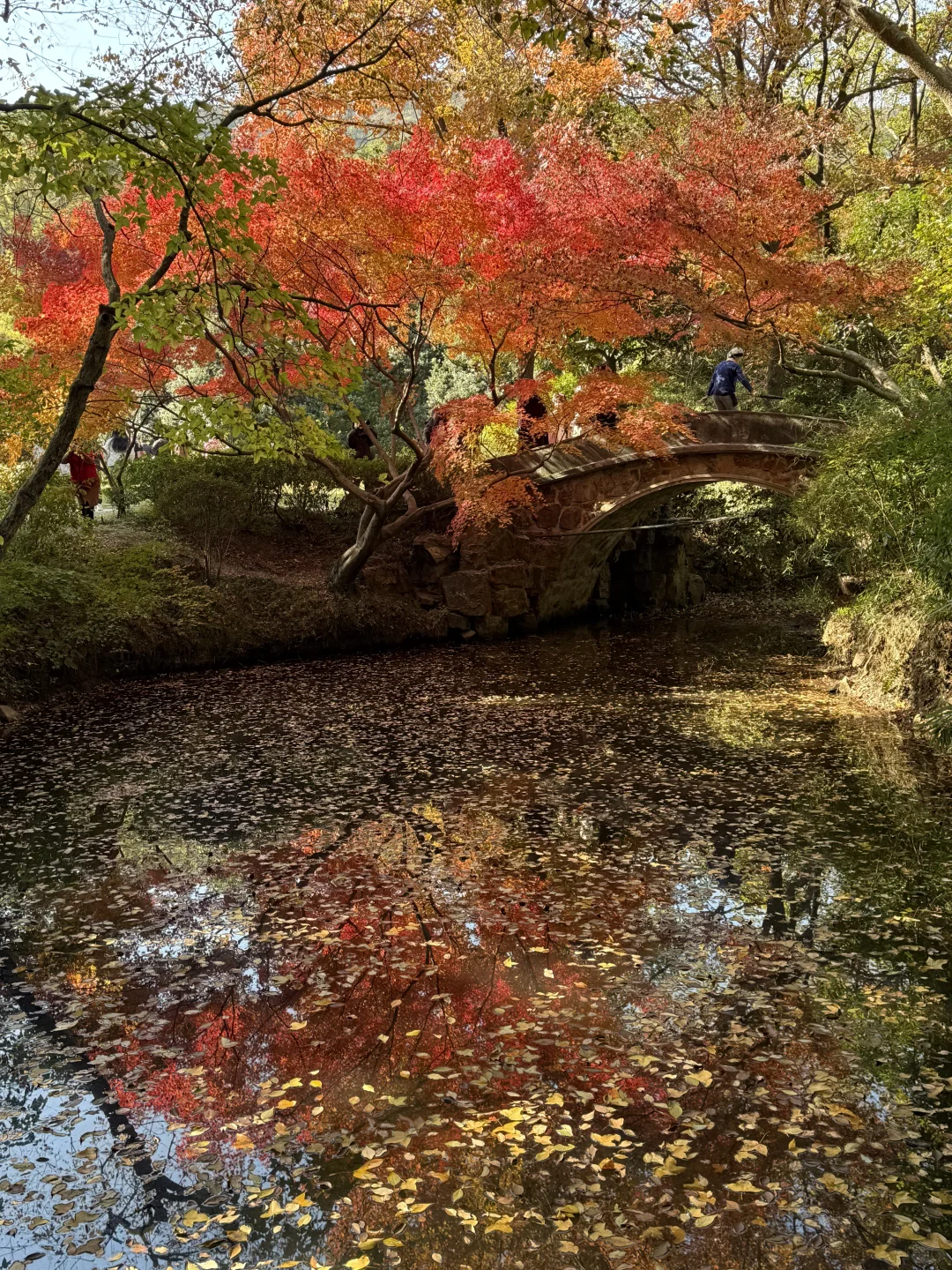 建议全文背诵！无锡最全秋日漫步地图大公开！