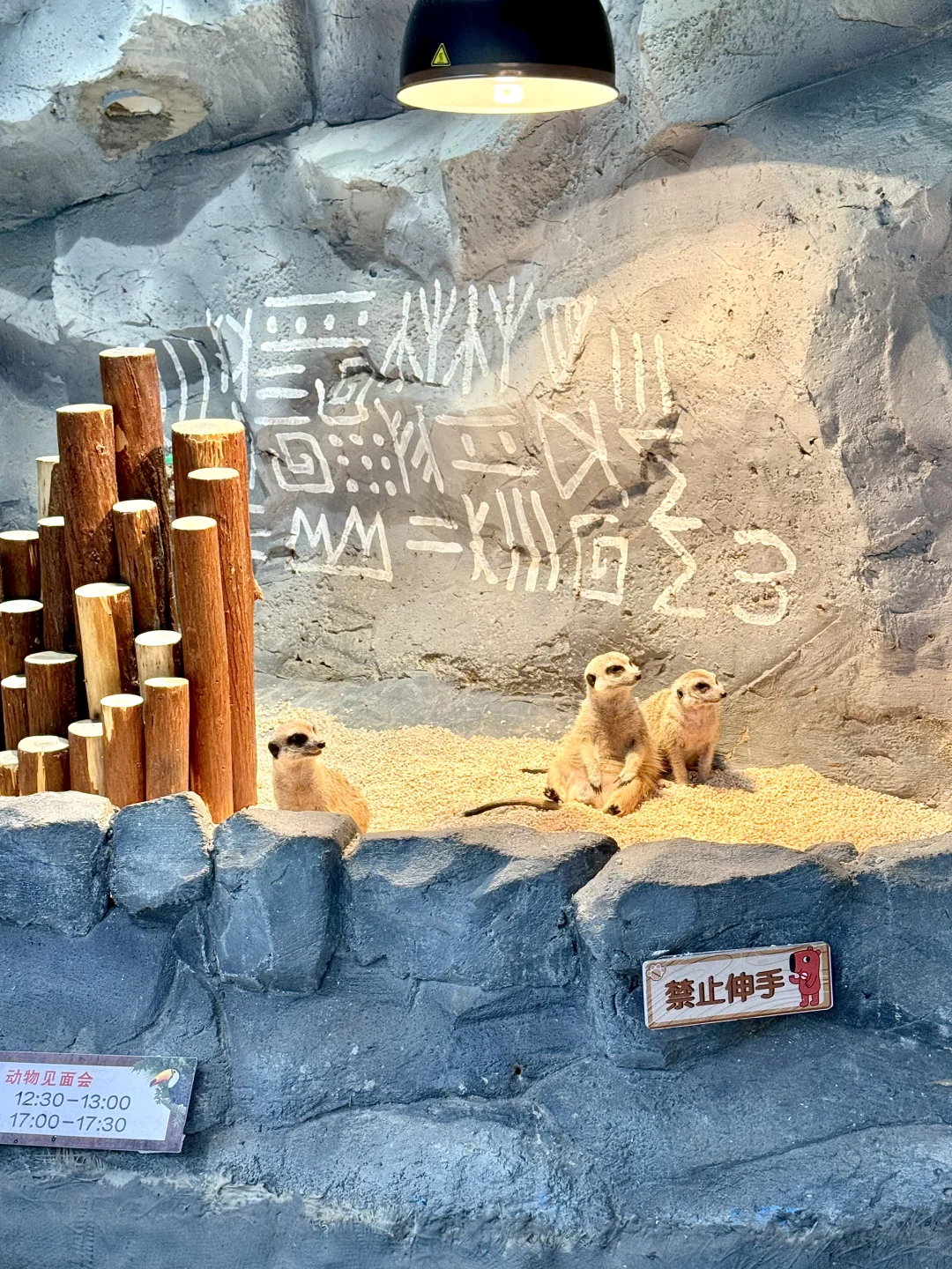 用18张图纪念我的长沙之旅🥹🐾