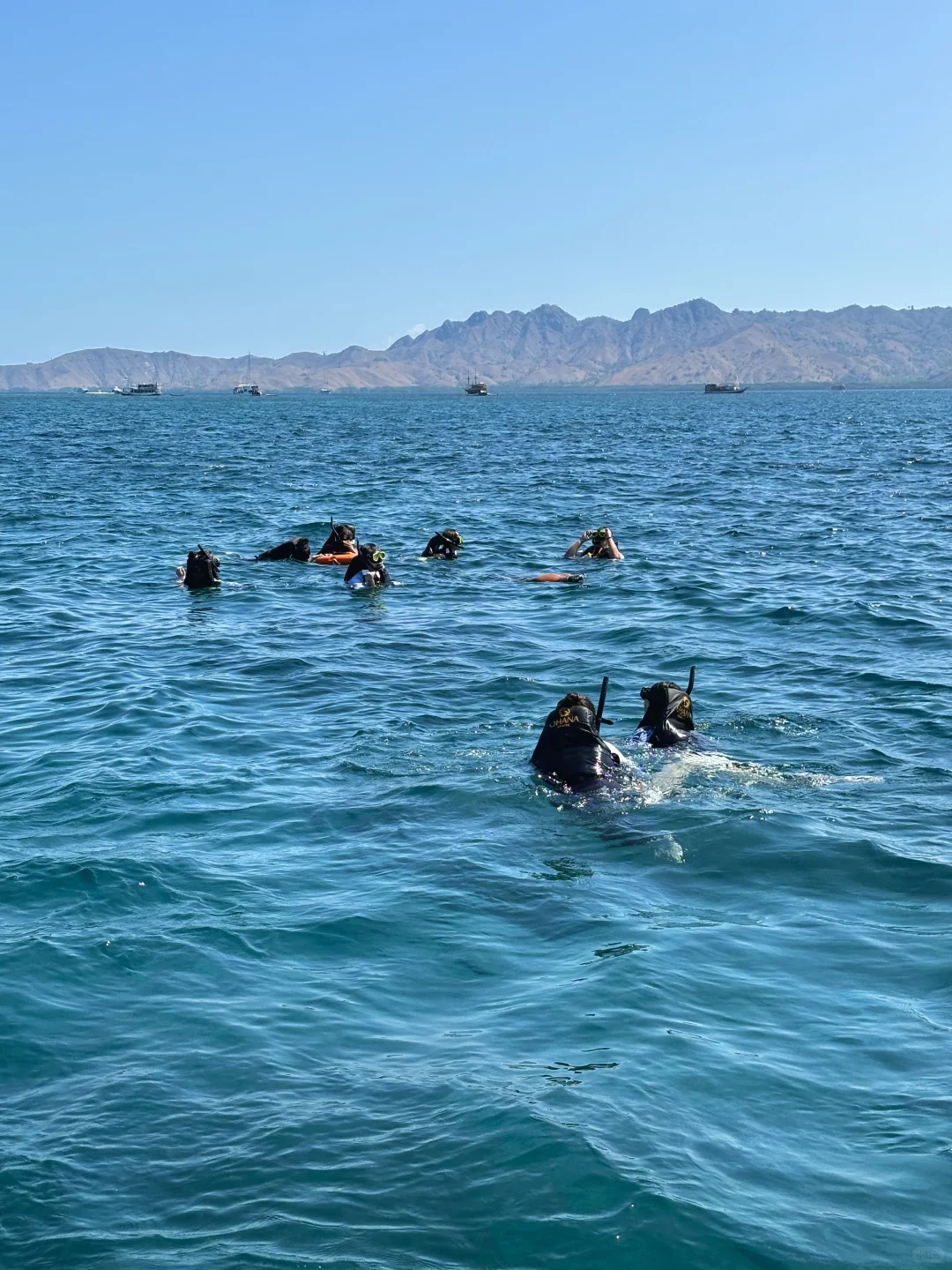巴厘岛可以不去，科莫多一定要来！！！