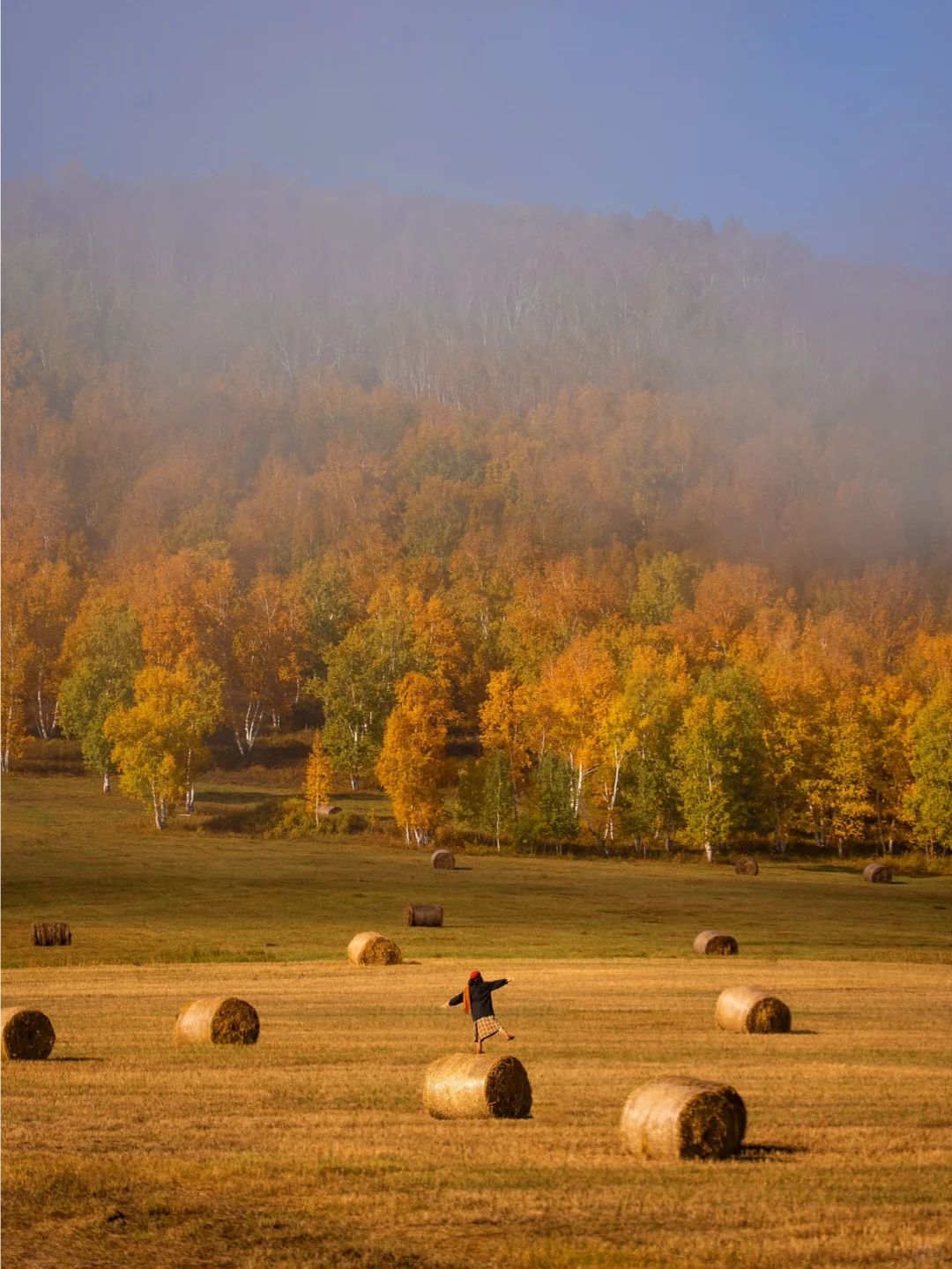 🍂你的内蒙追秋旅行攻略已准备好📚请查收！