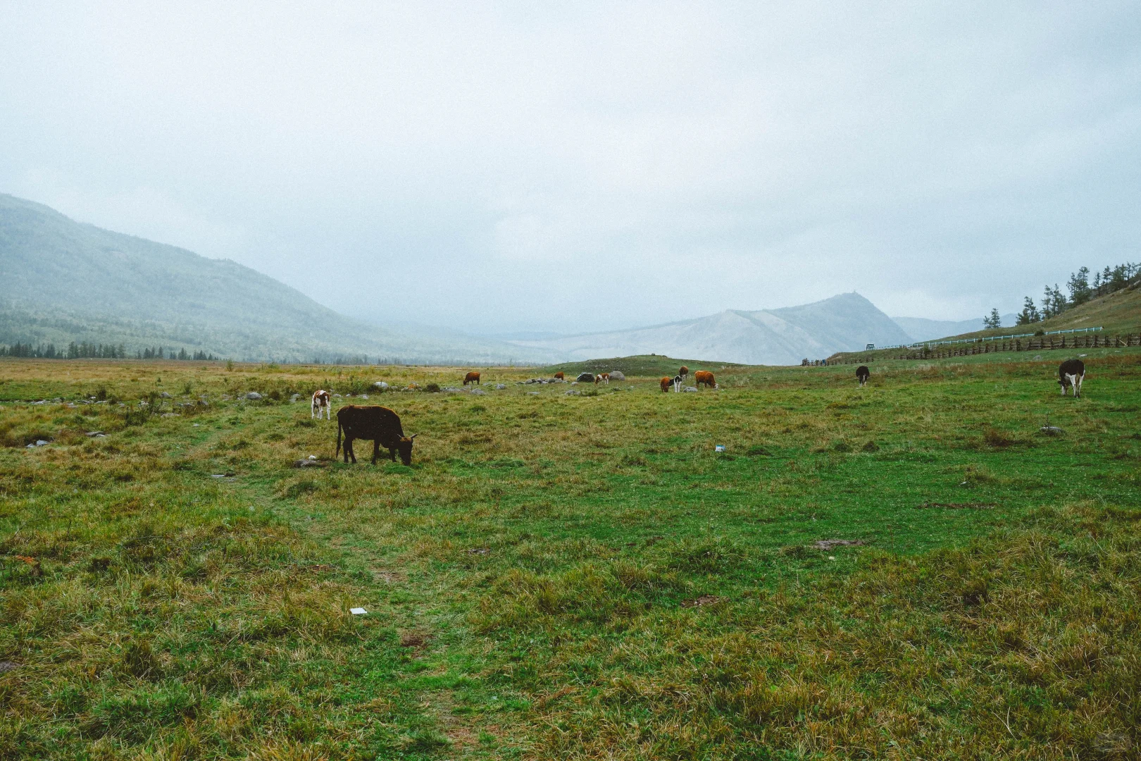 有草原的地方都好可爱呀！