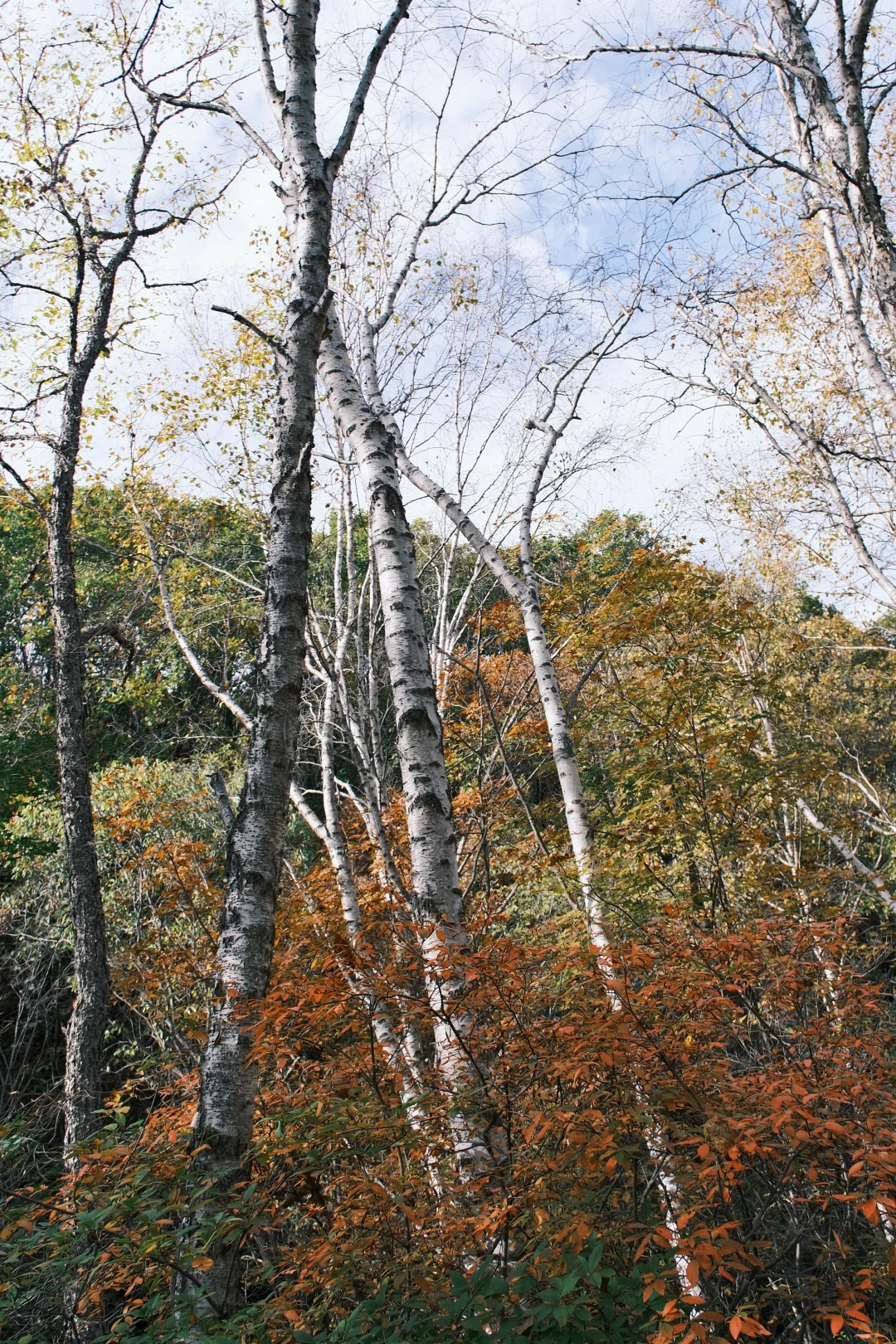 刚探的！喇叭沟门冰川景区徒步全攻略