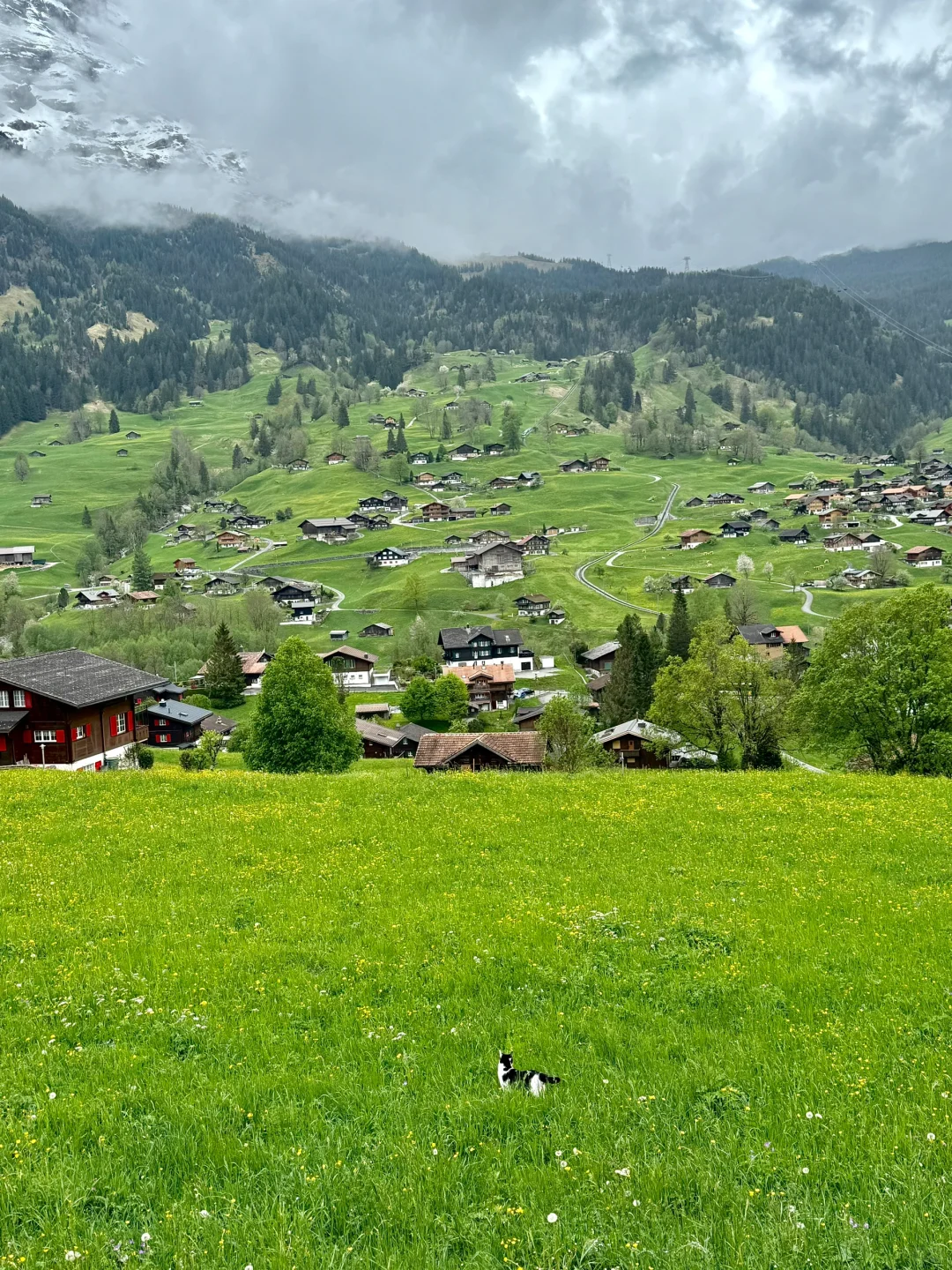 瑞士｜🇨🇭我也来感受油画世界里的生活了