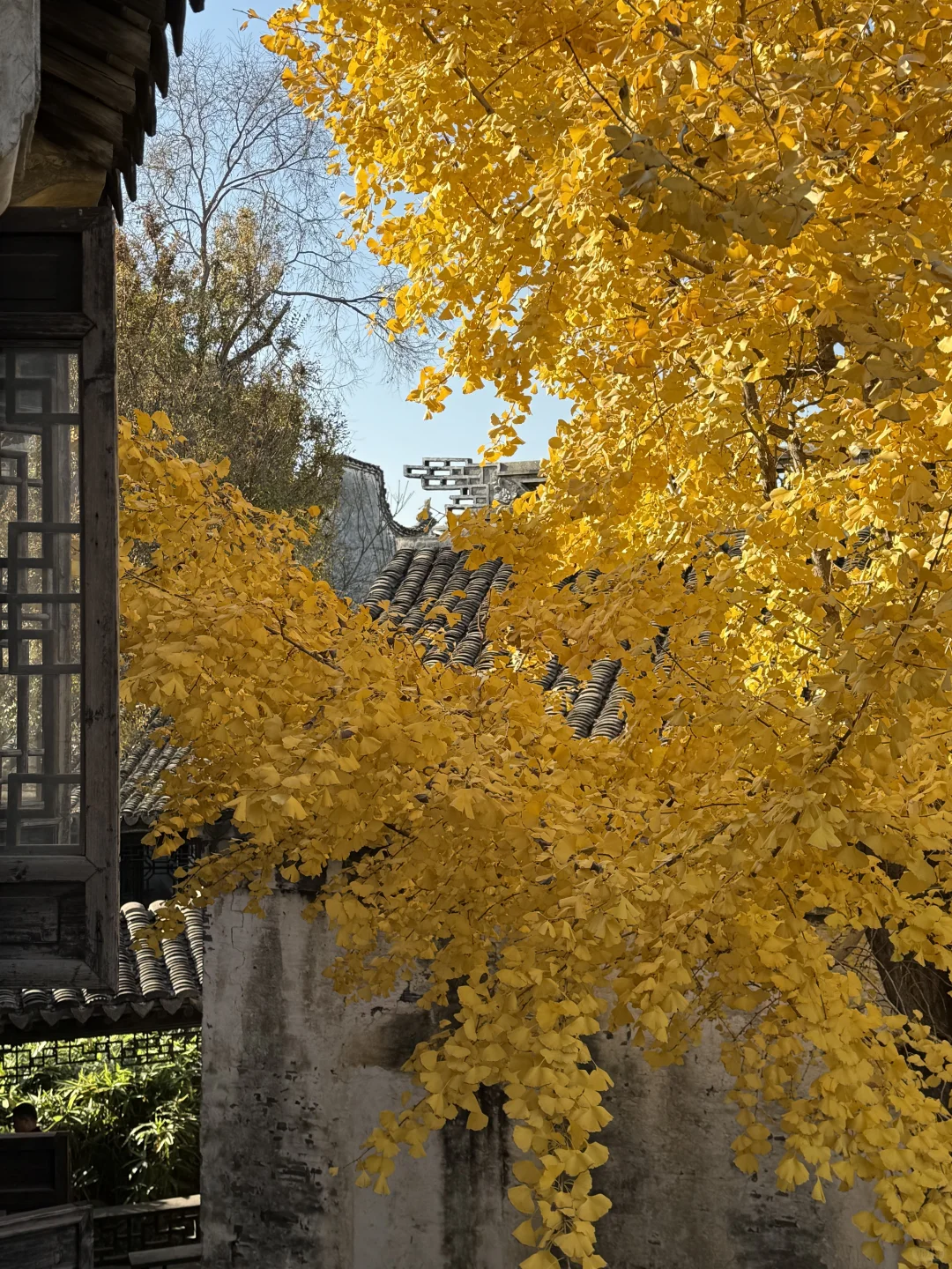 建议全文背诵！无锡最全秋日漫步地图大公开！