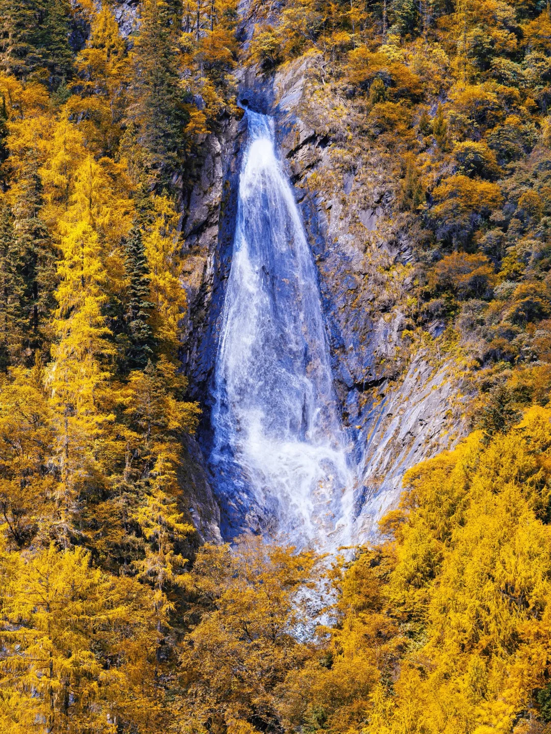 接下来的四姑娘山，是封神级别的秋景🍂