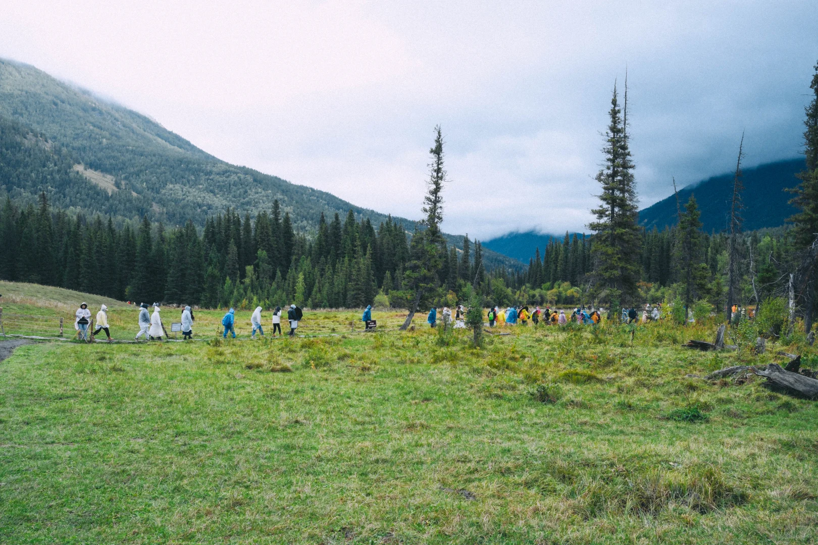 有草原的地方都好可爱呀！