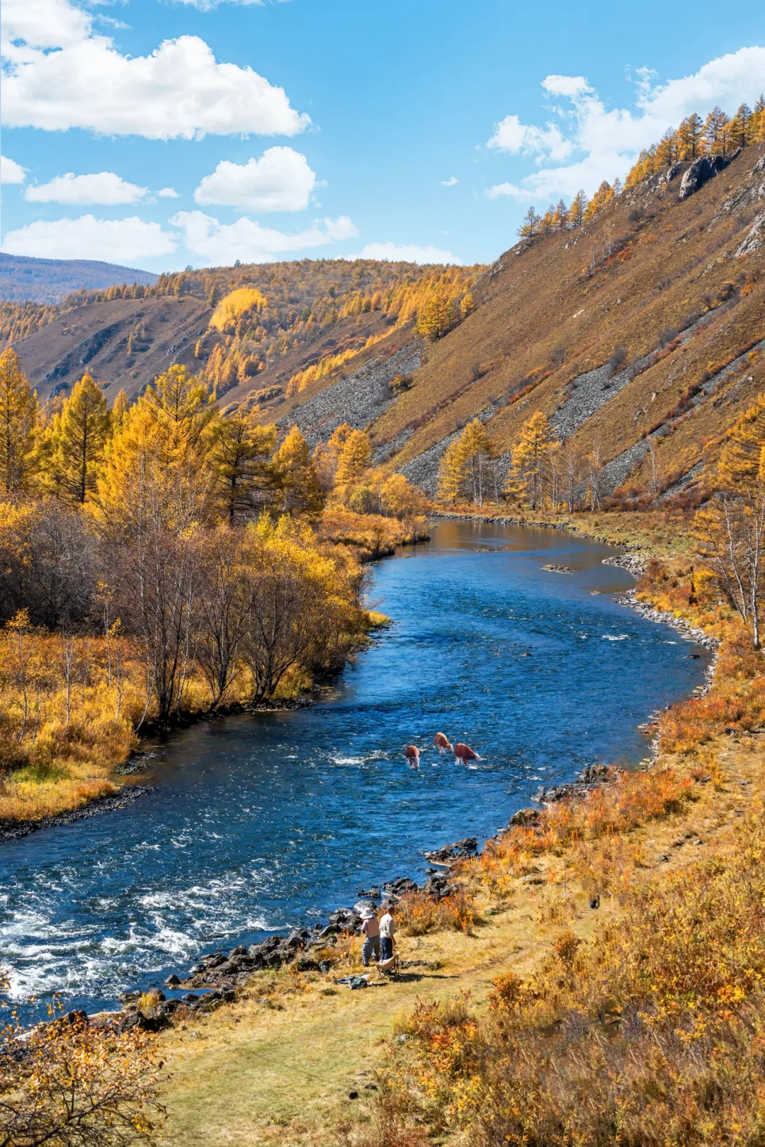 阿尔山，满足了我对大兴安岭秋天的所有幻想